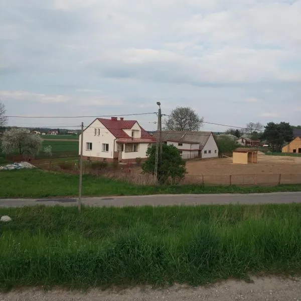 dom wakacyjny, hotel u gradu 'Żabno'