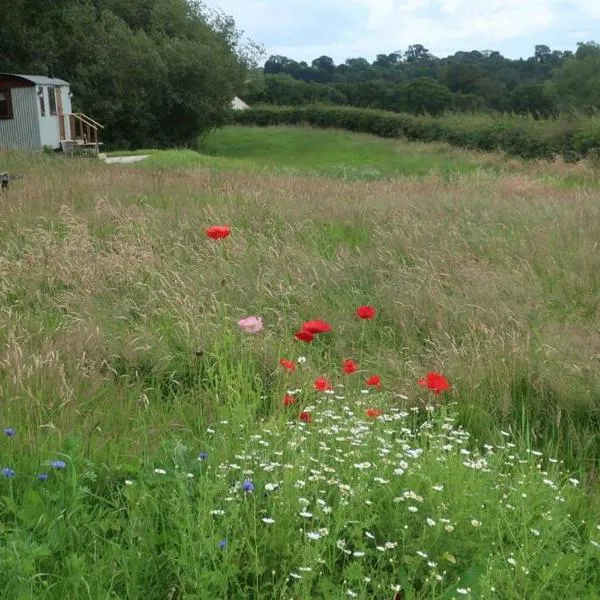 Little Idyll shepherds hut, hotel v destinaci Chester