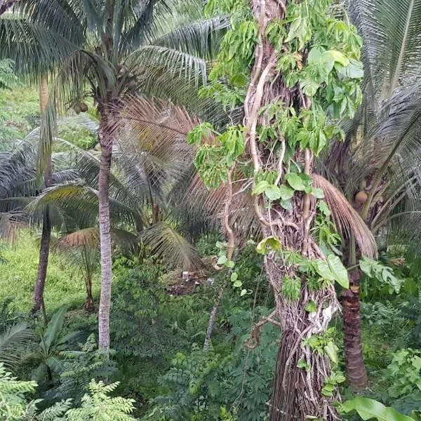 Hill Bottom Accommodation, hotel v destinaci Suva