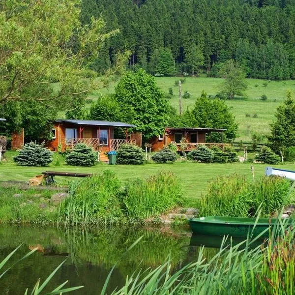 Stanica pod Zadzierną Kemping Domki letniskowe, hotel v destinaci Lubawka