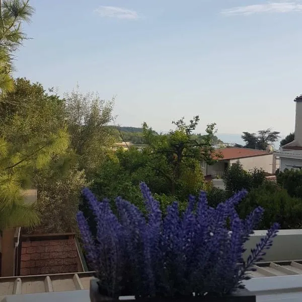 Apartment Rose Mareda, hotel in Dajla