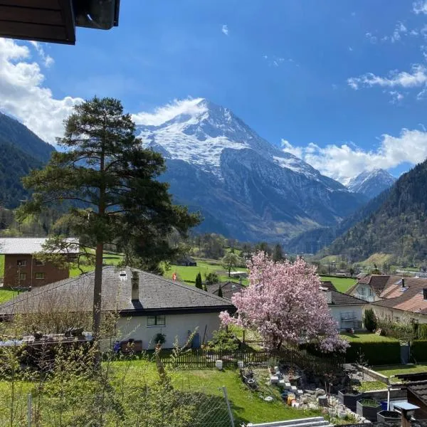 Amazing appartment in the middle of the nature, hotel in Gurtnellen