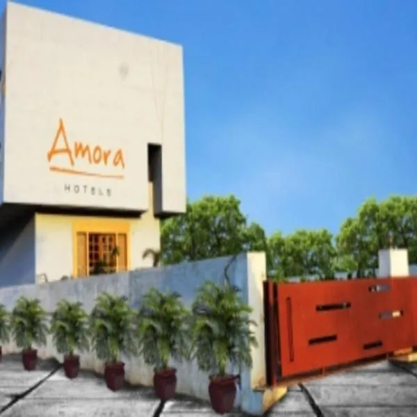 HOTEL AMORA - Rajnandgaon, hotelli kohteessa Parmālkasa