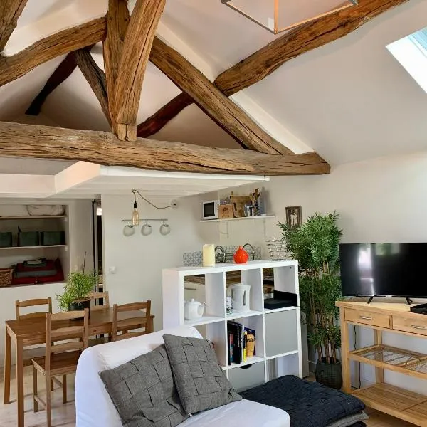 Appart chic et cosy/centre ville/ 20min de Paris, hôtel à Maisons-Laffitte