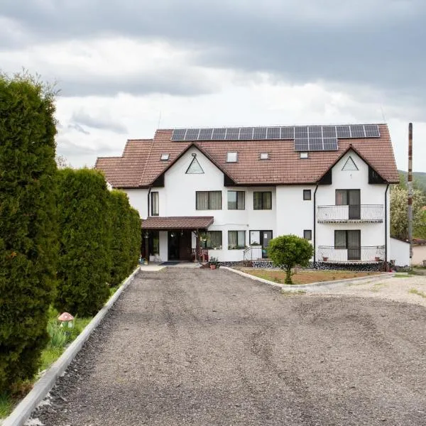 Pensiunea Poarta Apusenilor, hotel sa Moldoveneşti