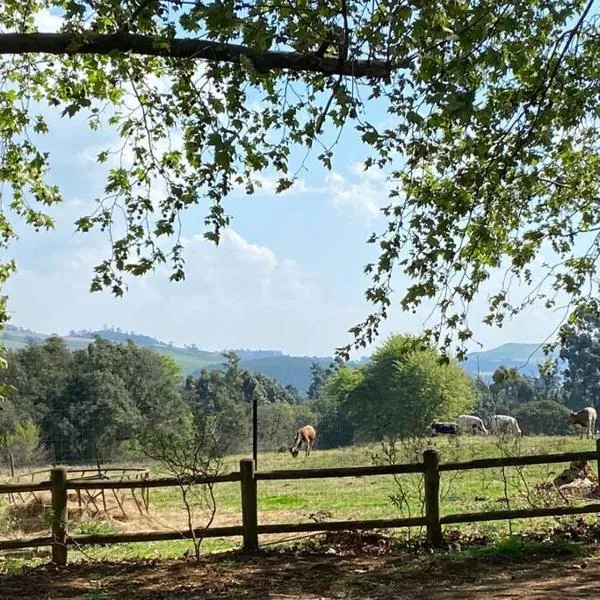 Yellowwoods Farm - WILLOUGHBYS COTTAGE and OLD STABLES COTTAGE, hotel en Curryʼs Post