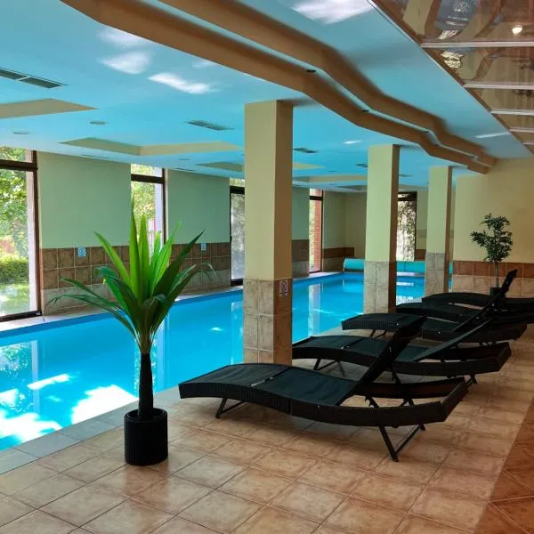 Dorina wellness, hotel v Siofoku