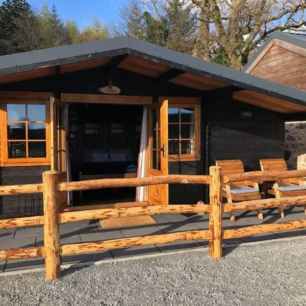 1 Bed Cabin in the Magical Galloway Forest Park, hotel in Newton Stewart