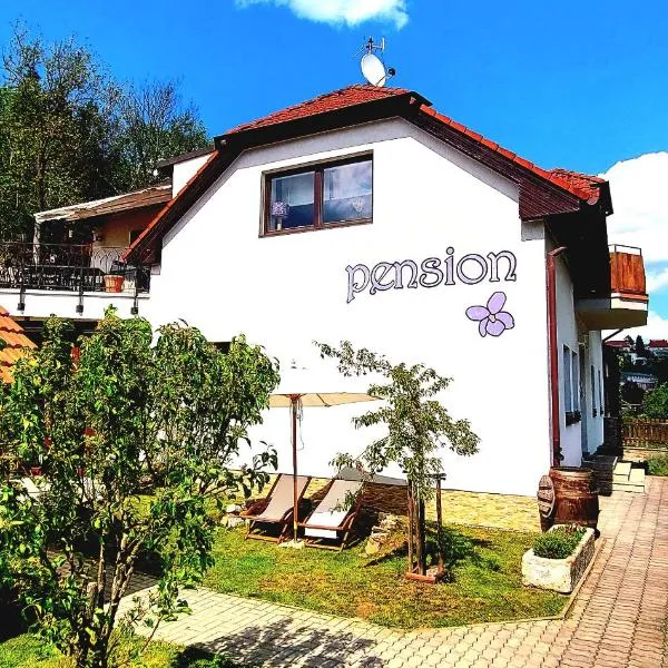 Pension Fialka, hotel v destinaci Český Krumlov