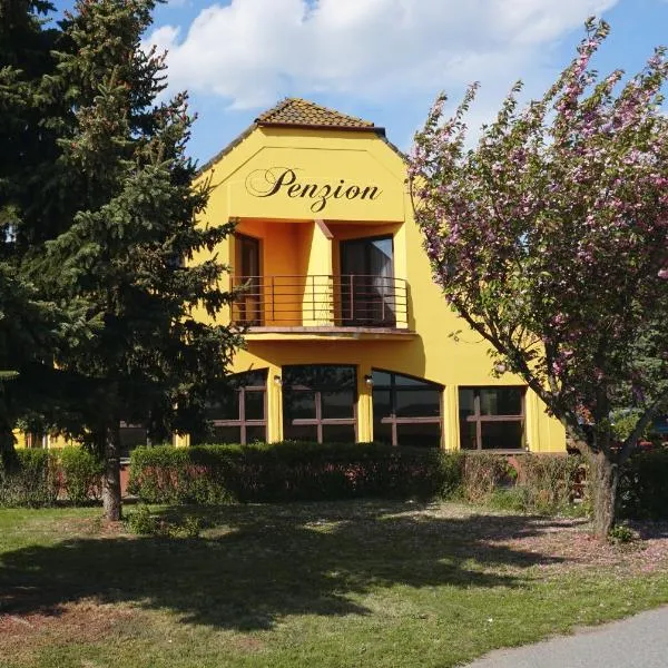 LEO - PENZION, hotel in Boskovštejn