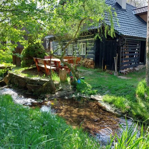 Roubenka u potoka Výprachtice, hotel en Cotkytle