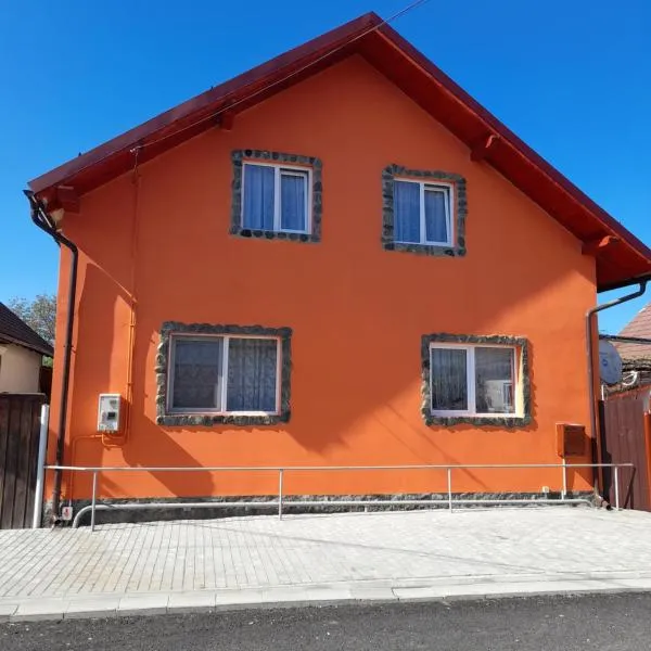 Casa Alex, hotel v destinaci Cîrţişoara