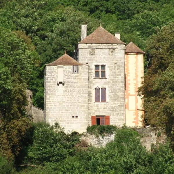 Château de Champrenault, voyagez dans le temps, hotel v destinácii Champrenault