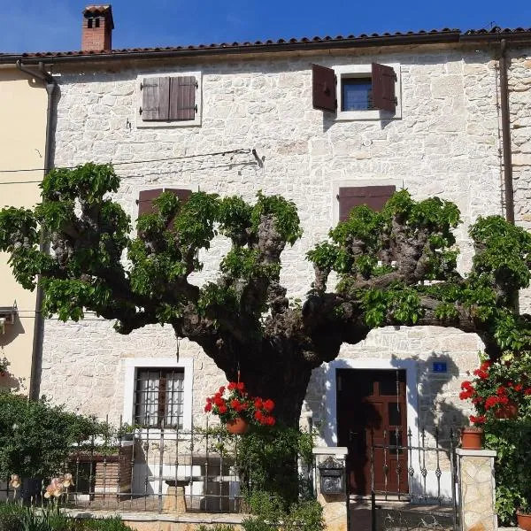 Casa Girasole, hotel v destinácii Buje