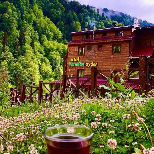 Ayder Paradise Otel, hotel v destinaci Ayder Yaylasi