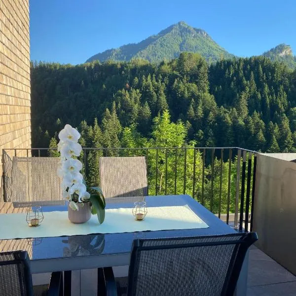 Wohnung Staufenblick und Wohnung Firstblick, hotel v mestu Dornbirn