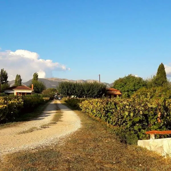 Authentic Country House in Zakynthos，Ambelókipoi的飯店