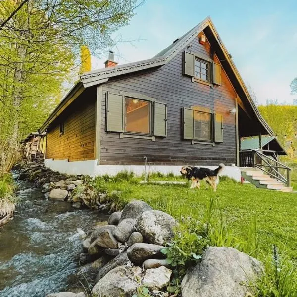 Karak Chalet, hotel in Izvoare