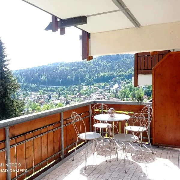 FeWo Tulipa Vera mit traumhafter Aussicht, hotel a Todtmoos
