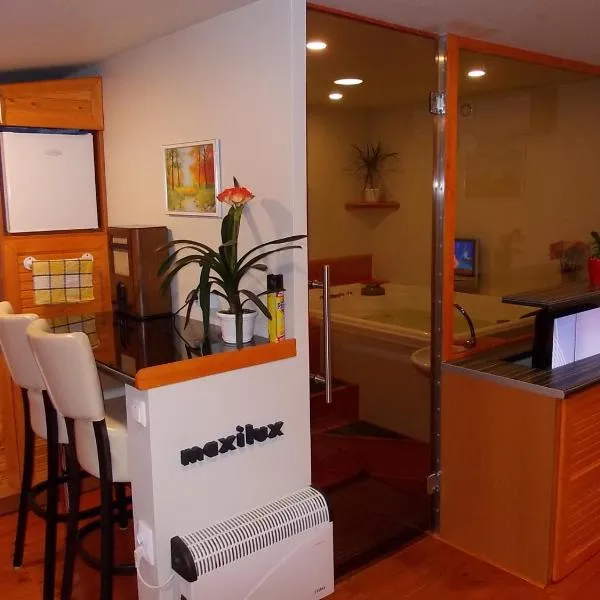 Maxilux Studio, hotel v destinaci Berekfürdö