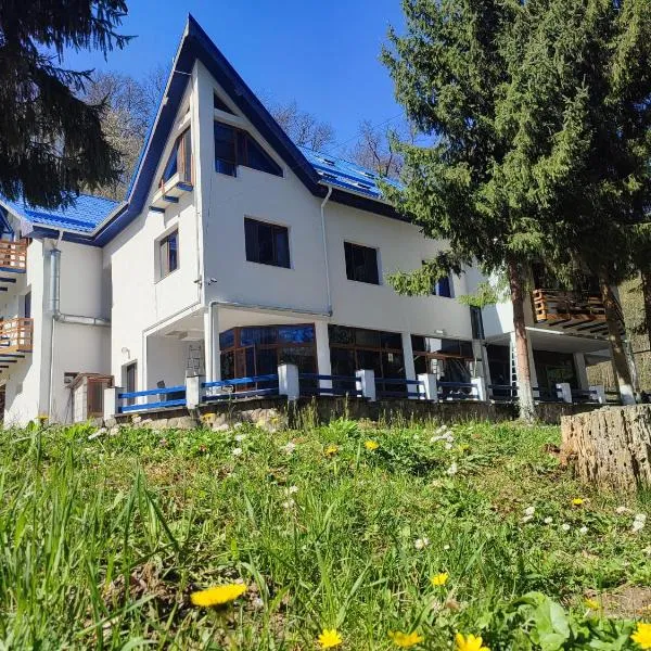 Hotel Parc Geoagiu Bai, hotel v destinaci Geoagiu Băi