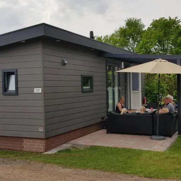 Luxe 4 tot 6 persoons Chalet, hotel in Holten