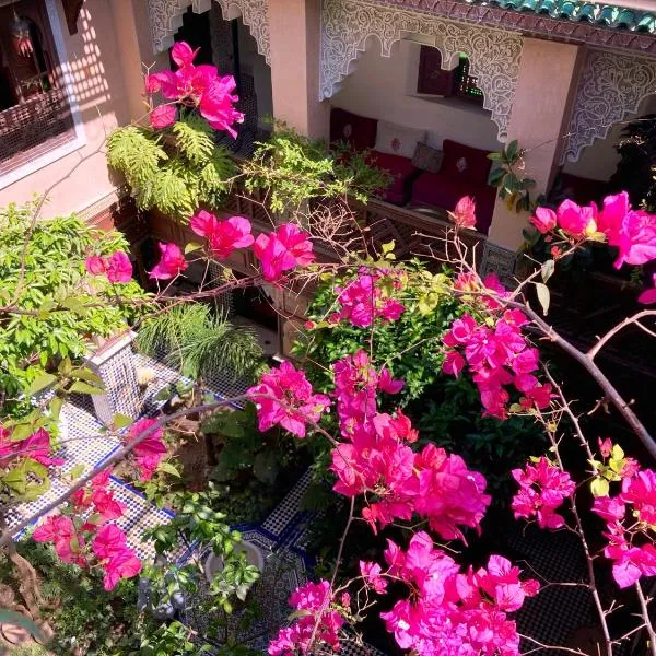 Riad Toyour- Riad of birds, hotel v destinaci Fès