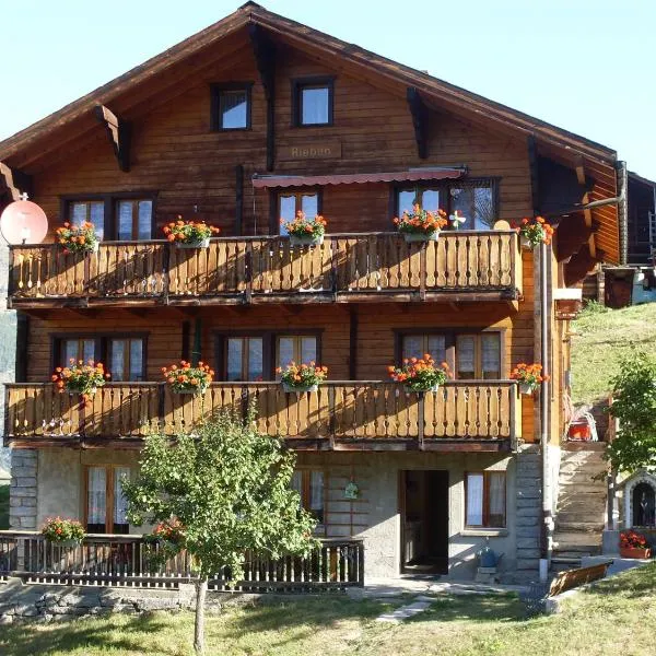 Riebe 331, hotel din Grächen