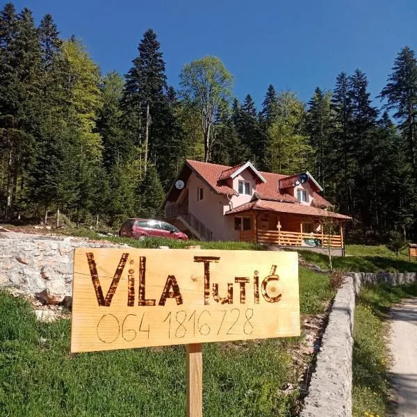 Vila Tutić Apartman 1 i Apartman 2, готель у місті Мітровац