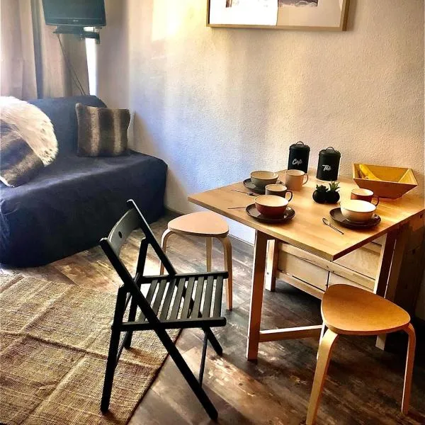 Charmant studio au pieds des remontées mécaniques., hotel in Villard-de-Lans