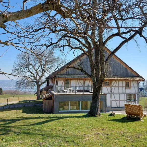 Historisches Doppel - Riegelbauernhaus, hotel v destinaci Langnau am Albis