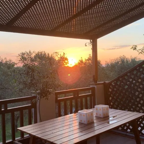 Thea Thalassa, hotel din Vourvourou