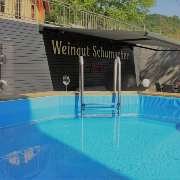 Weingut Schumacher - mit privatem Saunabereich, hotel in Sankt Aldegund