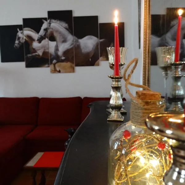 Studio Séquoia au pied du Château, hotel u gradu Somir