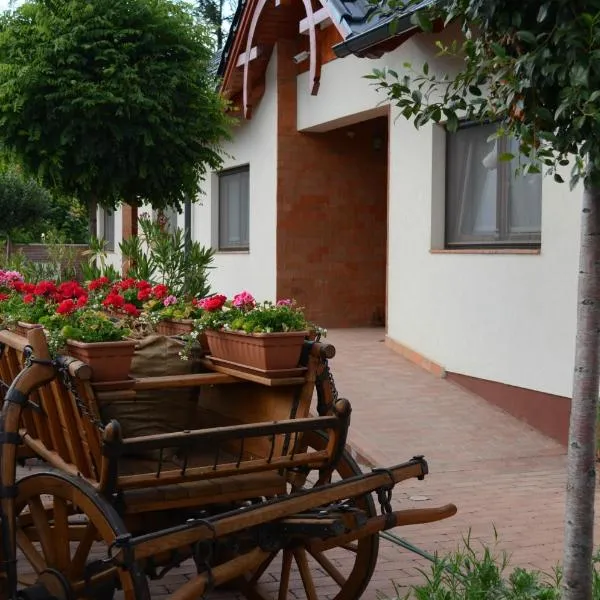 Hanság Vendégház, hotel v destinaci Kapuvár