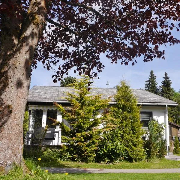 Ferienhaus FREE WILLI, khách sạn ở Willingen