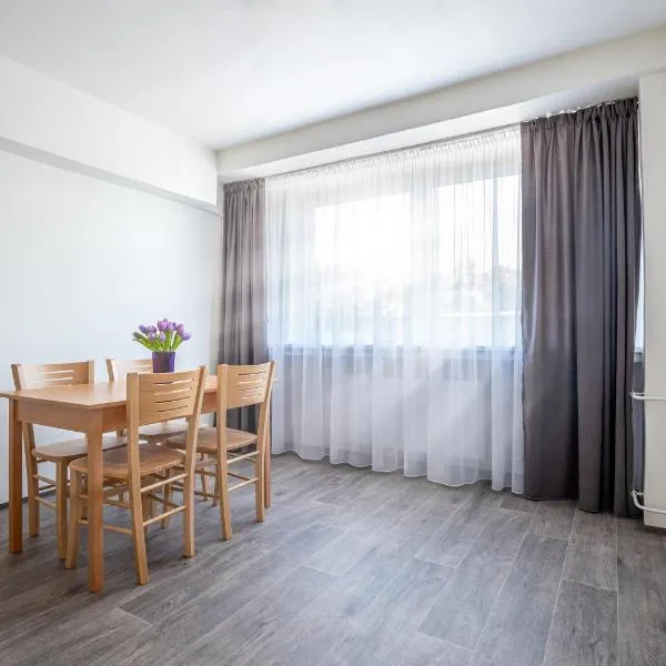 Apartmány a Studia Zámecký park、リトヴィーノフのホテル