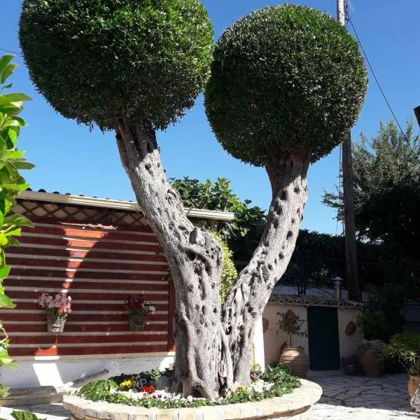 Flowers studios, hotel Beníceszben