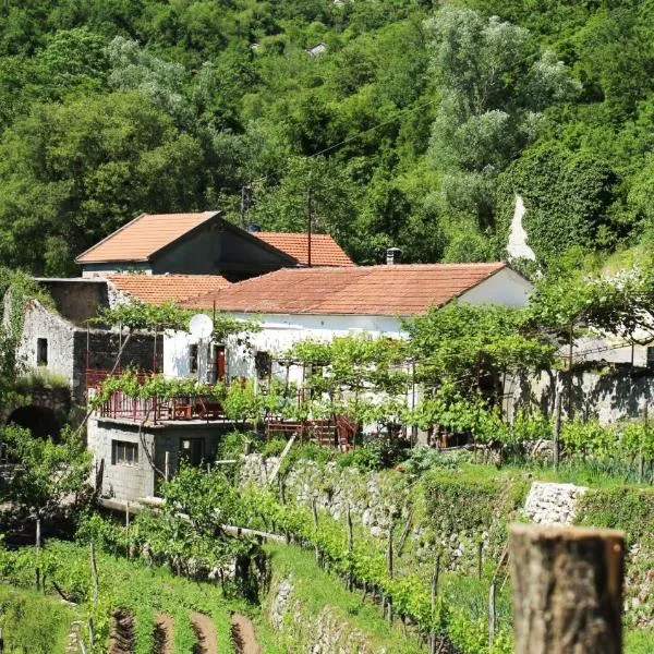 Country House Dajkovic, hotel v destinaci Dupilo