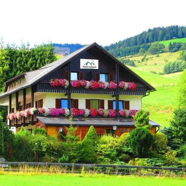 Pension Lambrecht, hotel Sankt Lambrechtben