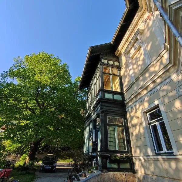 Villa Petterhof، فندق في Schottwien