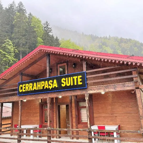 CERRAHPAŞA SUİTE HOTEL, hotel v destinaci Uzungöl