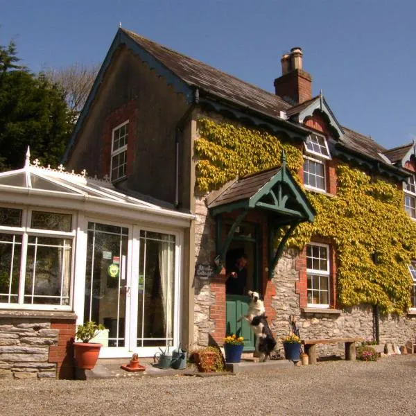 Druid Cottage, hotel in Liberty Hall