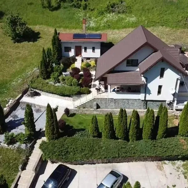 Casa dintre Brazi Hunedoara, hotel in Topliţa