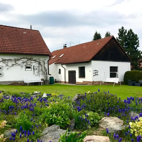 Venkovská usedlost Horšice, hotel in Dolní Lukavice