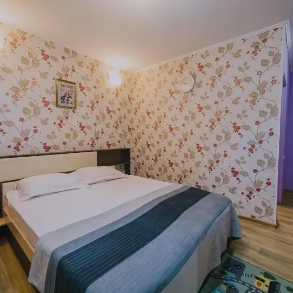 Hostel Denisa, hotel in Buzau
