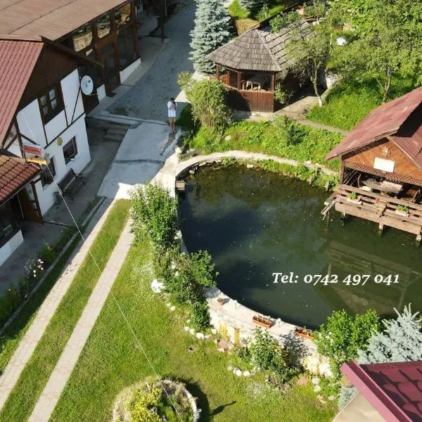 Cazare Rustic Nagy, hotel v destinaci Vişeu de Sus