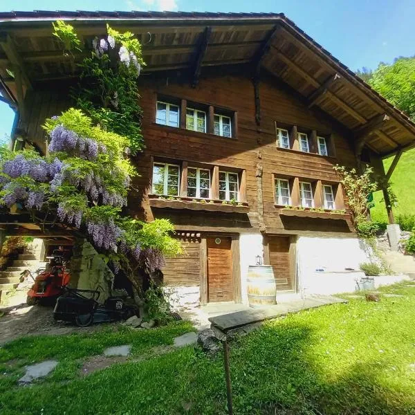 Chalet Elza, hotel a Lauterbrunnen