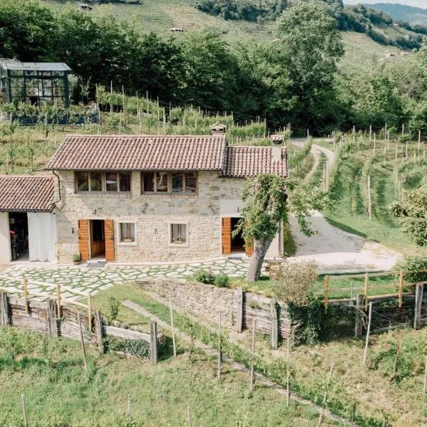 Agriturismo Il Conte Vassallo, hotel en Miane