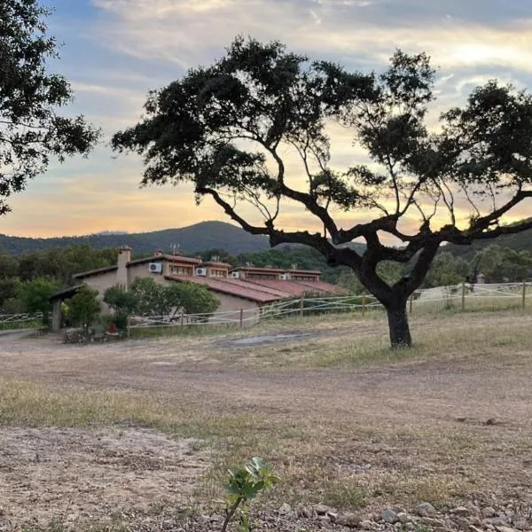 Apartamentos Rurales En Plena Sierra, hotel en Carrascalejo